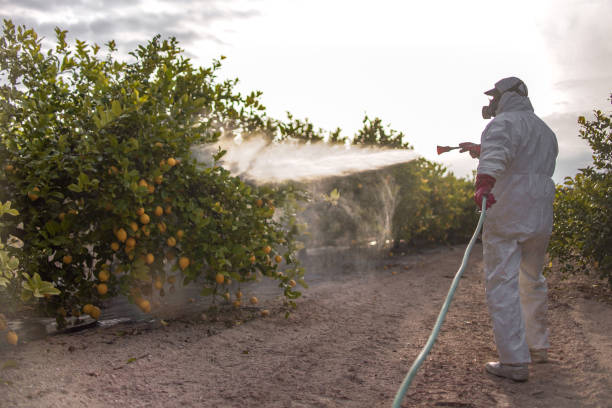 Professional Pest Control in Cleves, OH