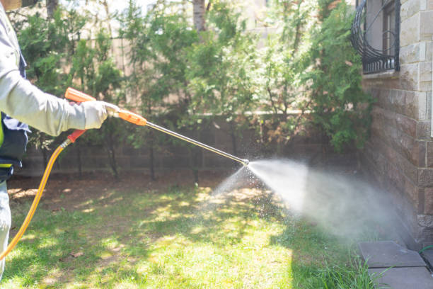 Best Pest Control Near Me in Cleves, OH