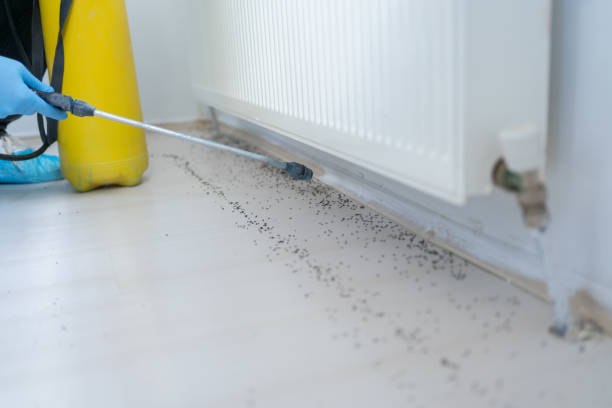 Pest Control Cost in Cleves, OH